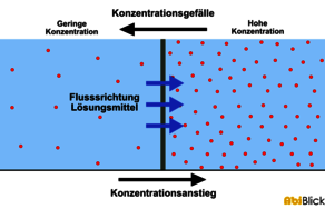 Mehr lesen